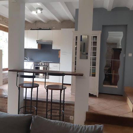 Charmant Appartement Vue Sur La Riviere. Albi Exterior foto