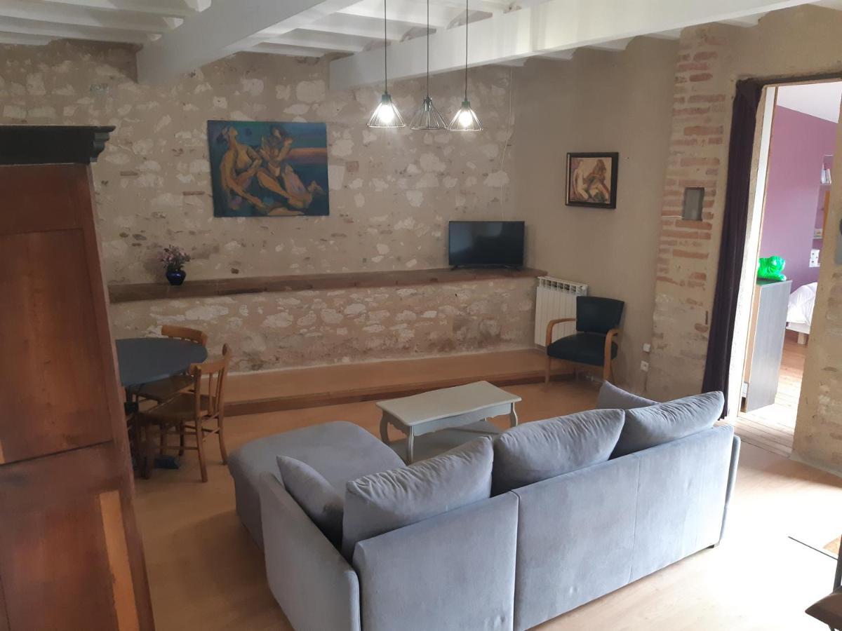 Charmant Appartement Vue Sur La Riviere. Albi Exterior foto